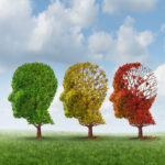 Alzheimer's Disease - care from a Functional Medicine perspective