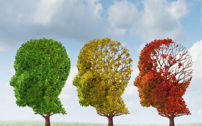 Alzheimer’s Disease – care from a Functional Medicine perspective