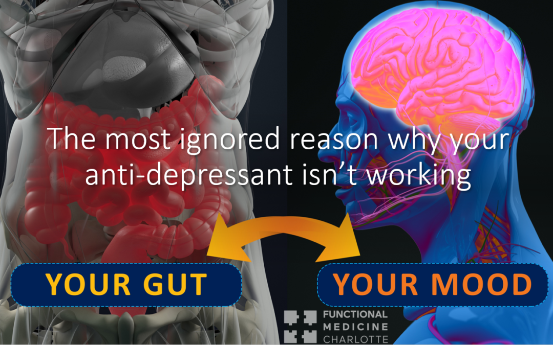 Depression – Gut inflammation, brain histamine, serotonin deficiency, and failed SSRI therapy