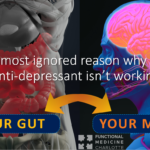 Depression - Gut inflammation, brain histamine, serotonin deficiency, and failed SSRI therapy