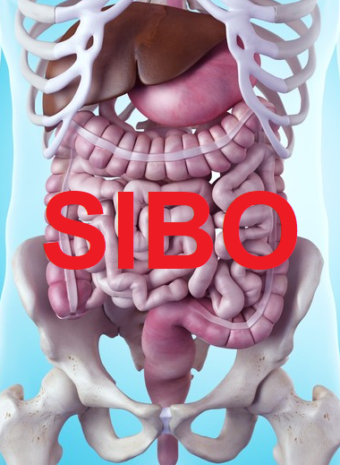 Sibo whole body consequences